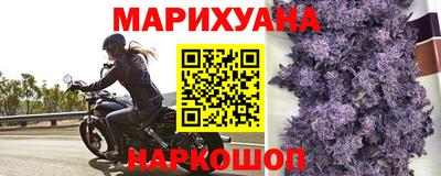 ECSTASY Кимры